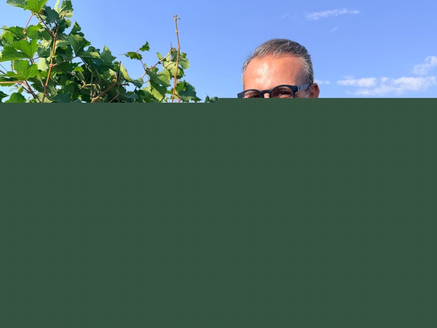Vendemmia 2026, Paolicelli a Leverano per il primo taglio dell’uva: “Qualità, programmazione e nuove strategie per il futuro del vino pugliese. La riduzione delle rese sta dando risultati concreti, ora servono dati, strumenti e una strategia condivisa per affrontare le sfide del mercato”