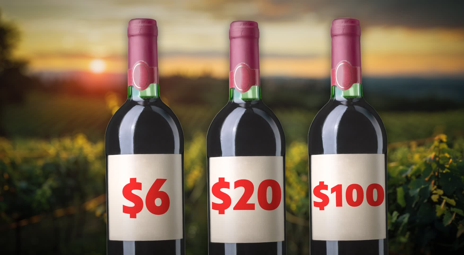 Why Wine Prices Make No Sense