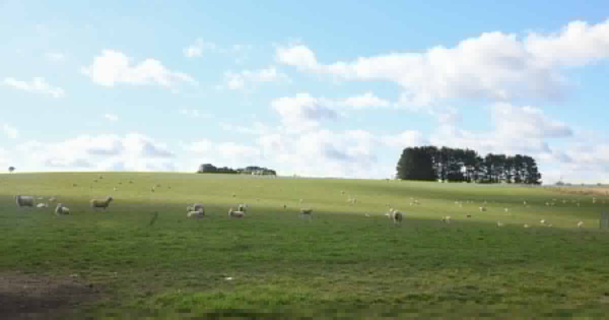 'An industrial scar': town's fight against a solar farm is coming down to the wire