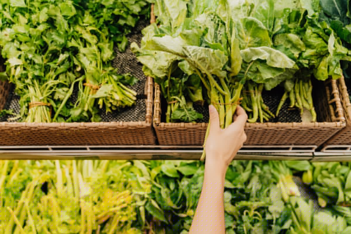 Cyclospora Outbreak Response Near 'Catastrophic' Level: Ex-FDA Official
