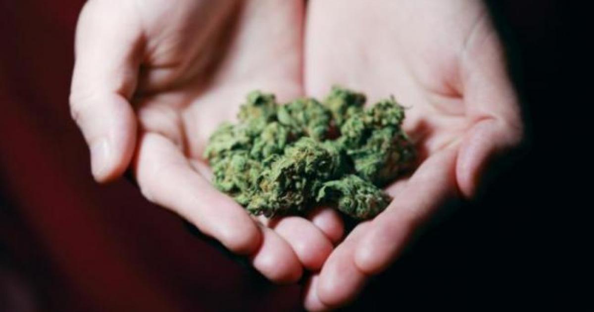Flintshire man 'ashamed' after drug-drive offence brings him before the court