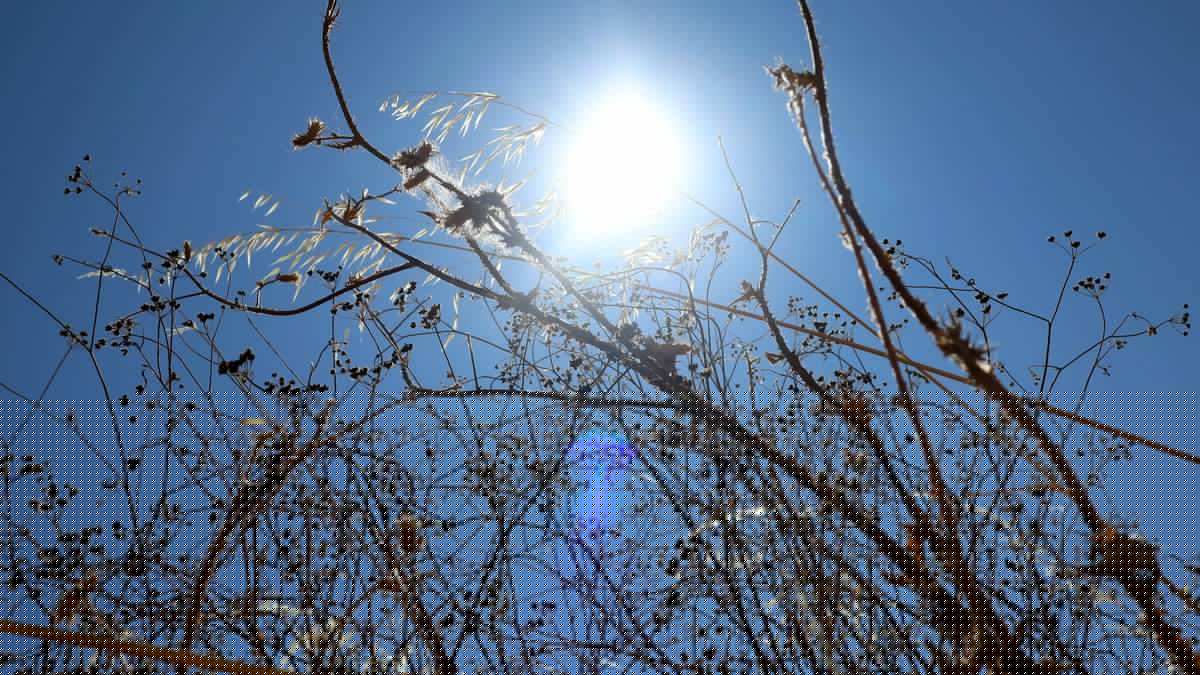 Canicule : jusqu'à 42,7°C en Gironde mercredi, toujours de très fortes chaleurs ce jeudi qui s'étendent vers les régions de l'Est