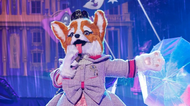 Who’s Queen Corgi on The Masked Singer? It Might Be This Unexpected Influencer