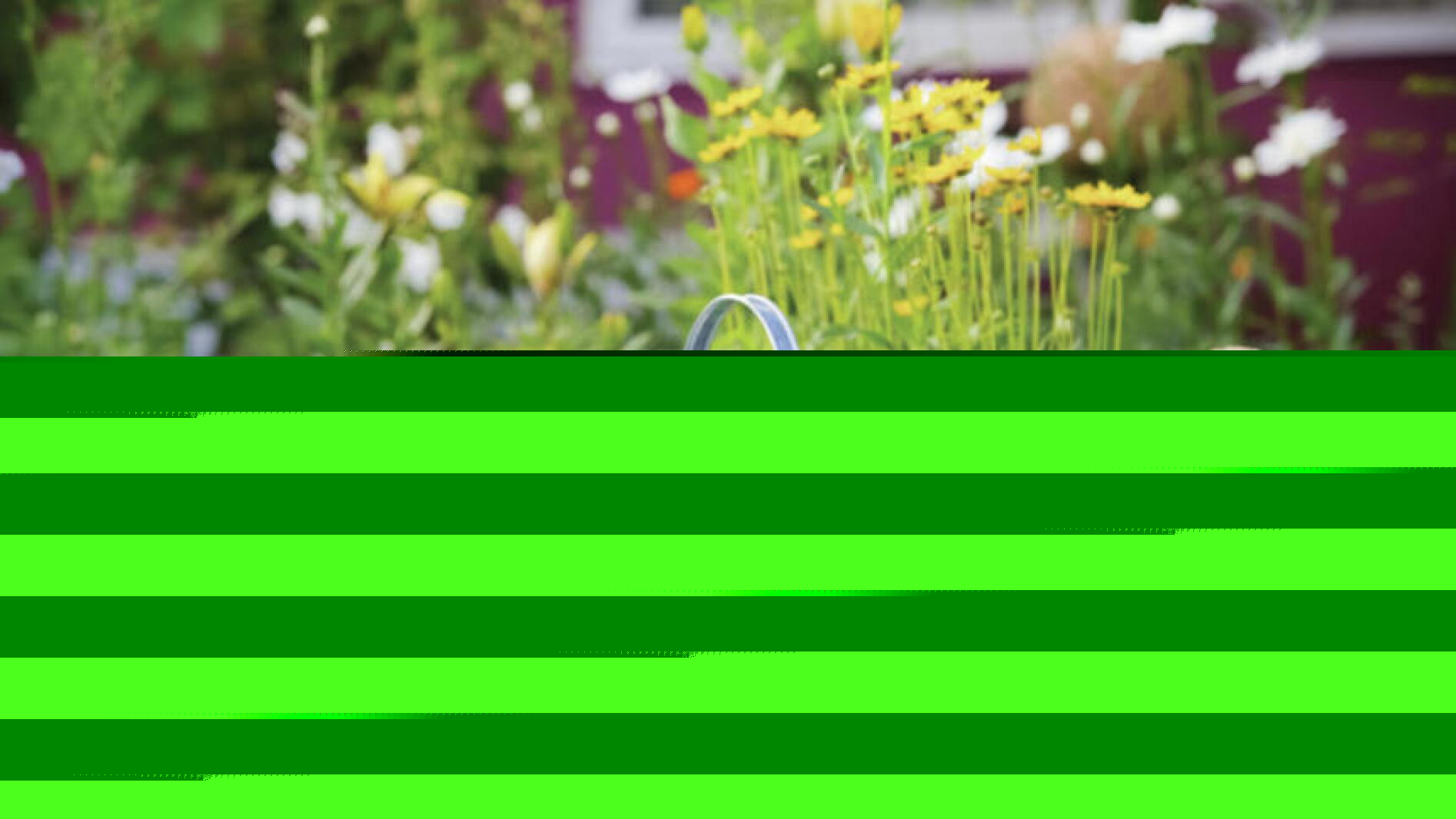 Master Gardener: Becoming a Master Gardener volunteer
