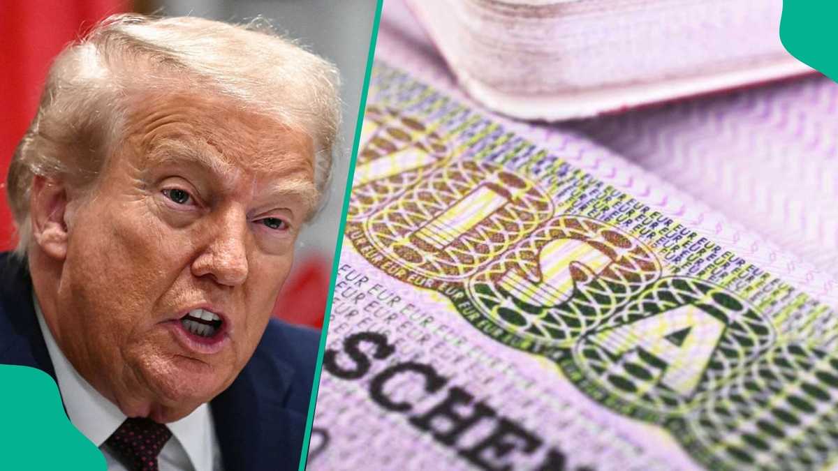 New US visa restrictions: What International students need to know