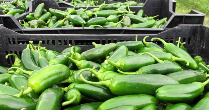 Taylor Farms recalls jalapeno products amid salmonella outbreak