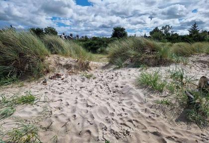 Community call to join pilot project to future-proof Nairn dunes