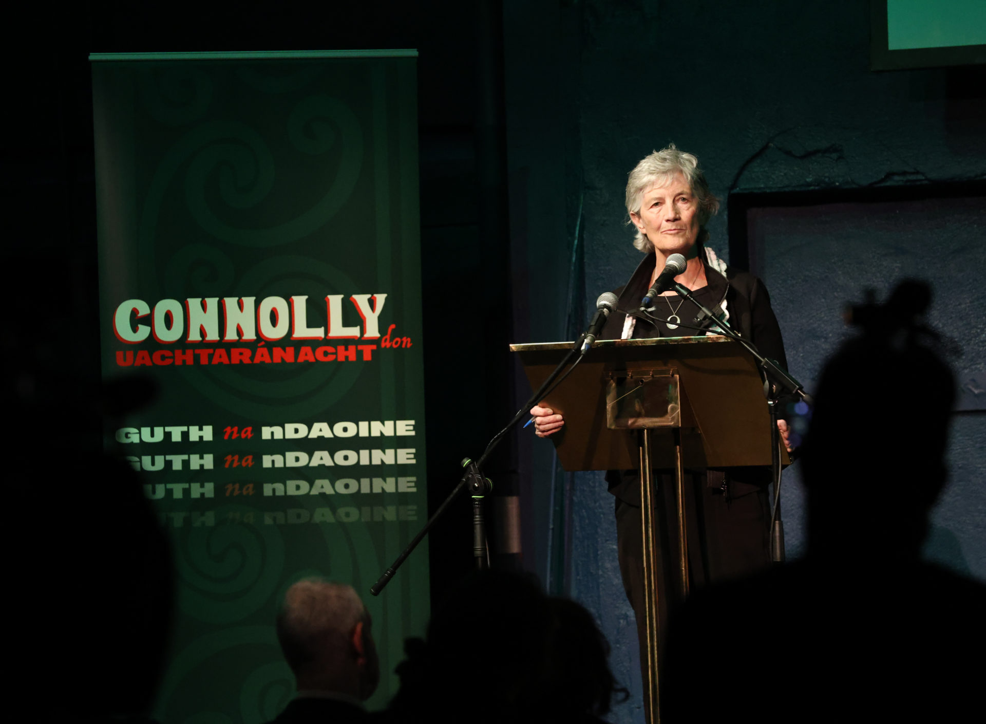 Catherine Connolly campaign privately 'nervous' after she defends hiring criminal
