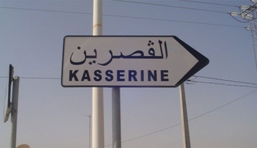 Kasserine : Le CRDA alerte sur la recrudescence de la rage animale