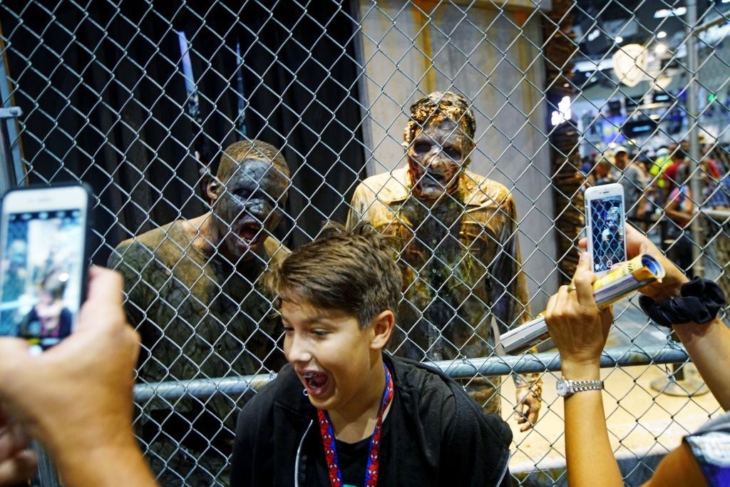 Tampa Bay Area Gets Ready for Week of Fall Festivals and Community Events Starting October 2
