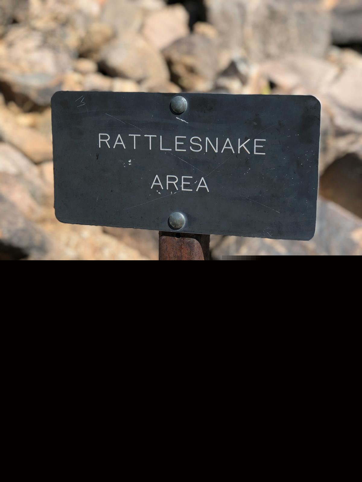 Montana Child Bitten By Rattlesnake While Visiting Popular River