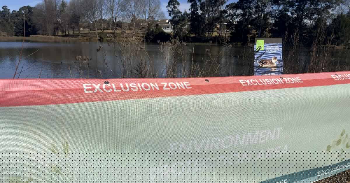 Algae warning issued for Bega lagoon: What it means for your drinking water and your pets