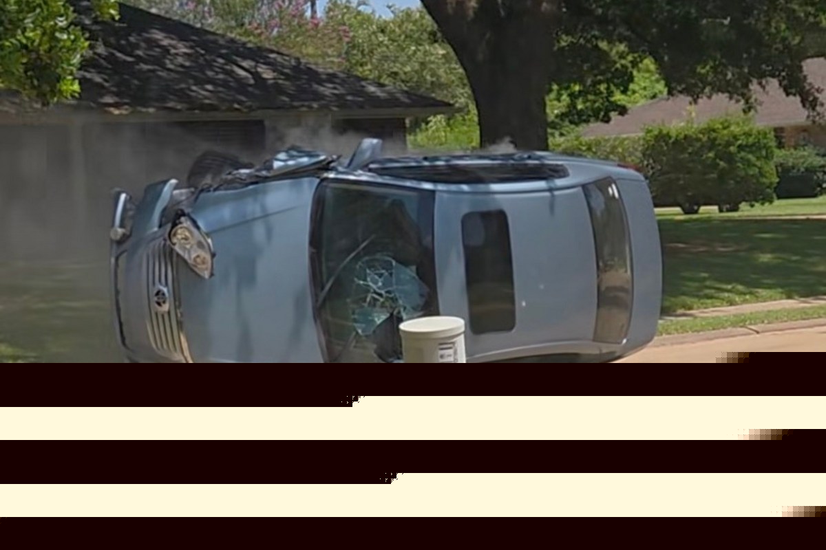 Quiet Neighborhood Walk Ends With Shocking Discovery