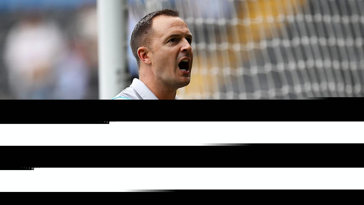 Swansea will control possession all season - Davies