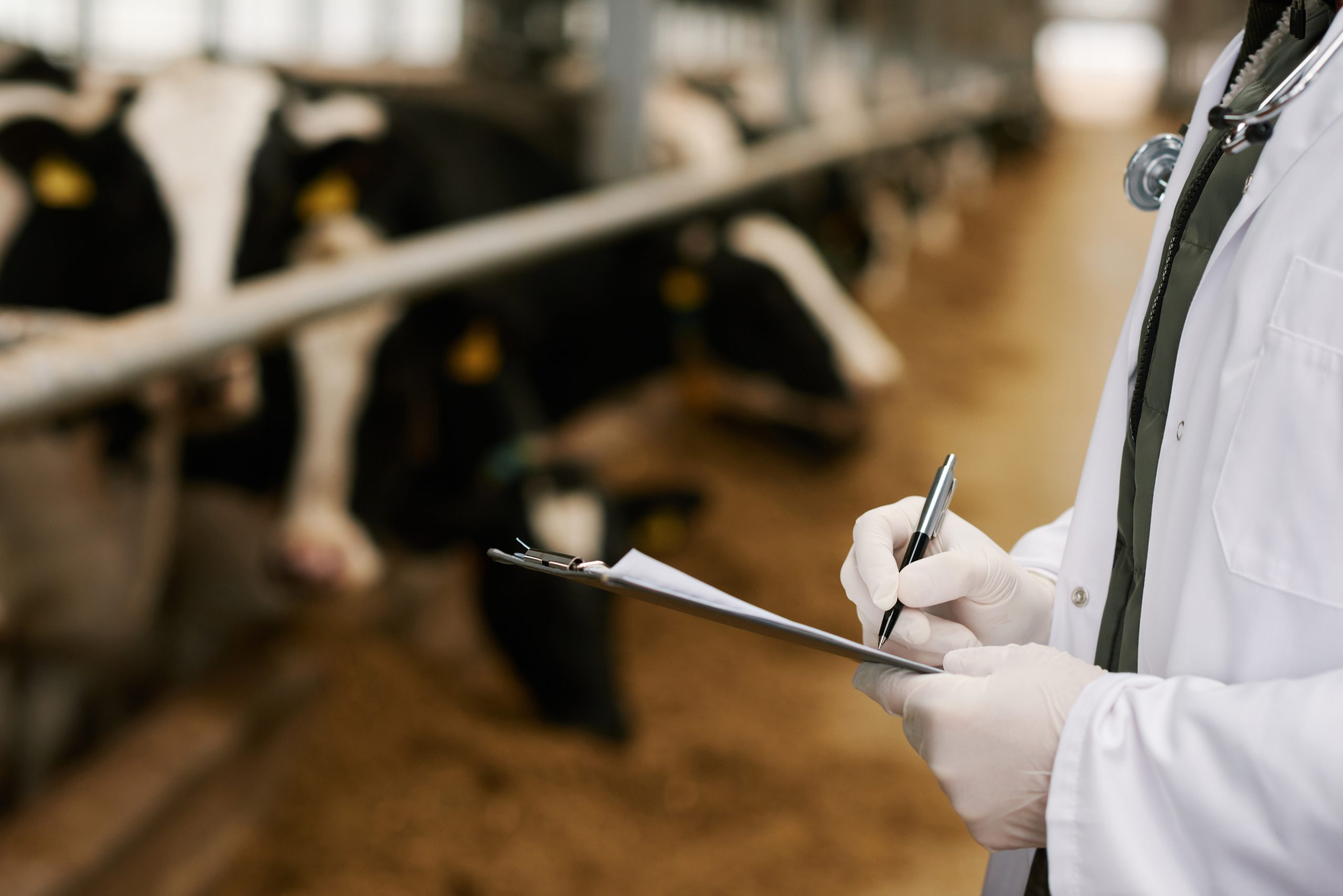 Estimated 500 Irish students currently enrolled in vet med in Poland, Hungary, Slovakia