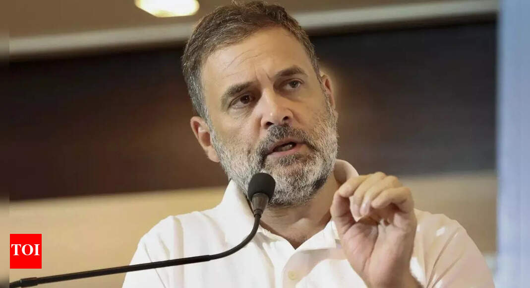 'Democratic system under ‘wholesale’ attack', says Rahul; BJP hits back