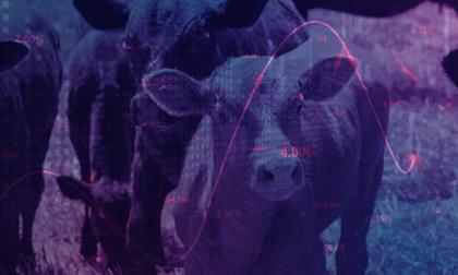 Sustainable Beef: Global Members Meet to Demonstrate Progress