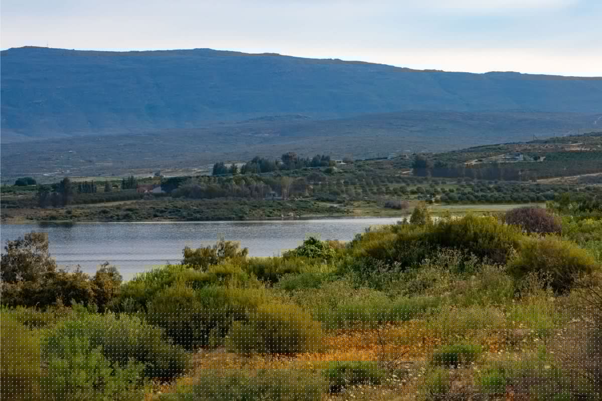 Does snow actually matter for Cape Town’s dams?