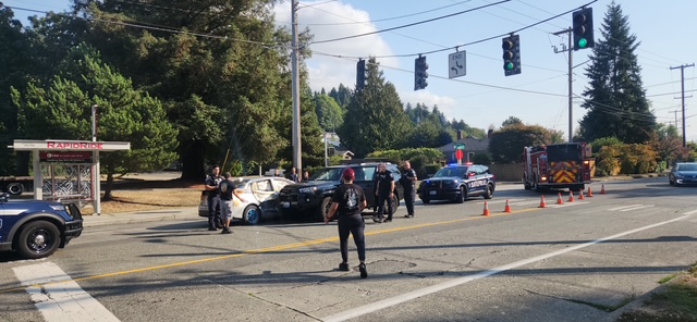 Comment on FOLLOWUP: Driver accused of targeting pedestrian is charged; SPD captain who stopped him reflects by Denali
