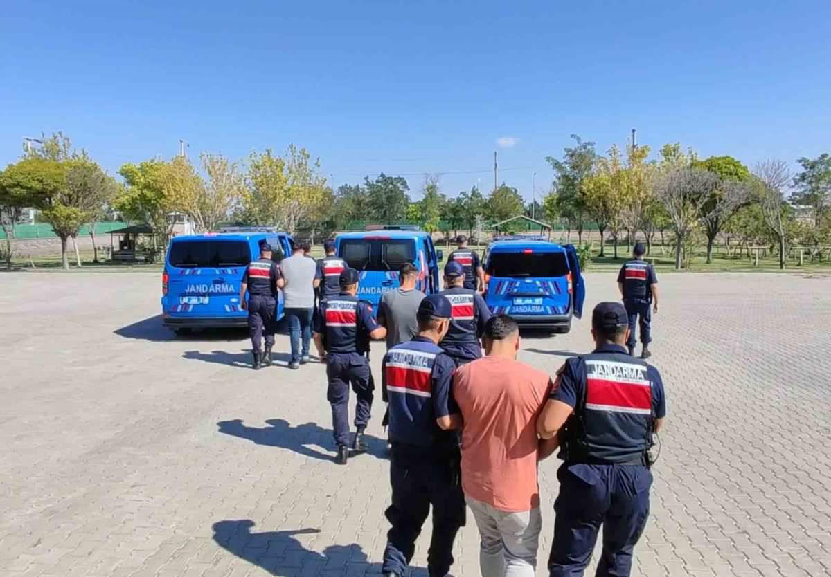 Aksaray'da Köpek Dövüştürme Görüntüleri Sosyal Medyada Tepki Çekti: 3 Gözaltı