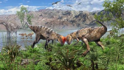 New Species of Dome-Headed Pachycephalosaur Unearthed in Mongolia