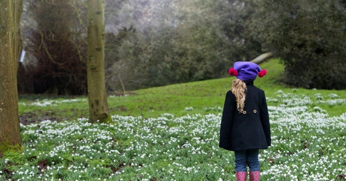 County Durham park invites people to remember loved ones with snowdrop walk