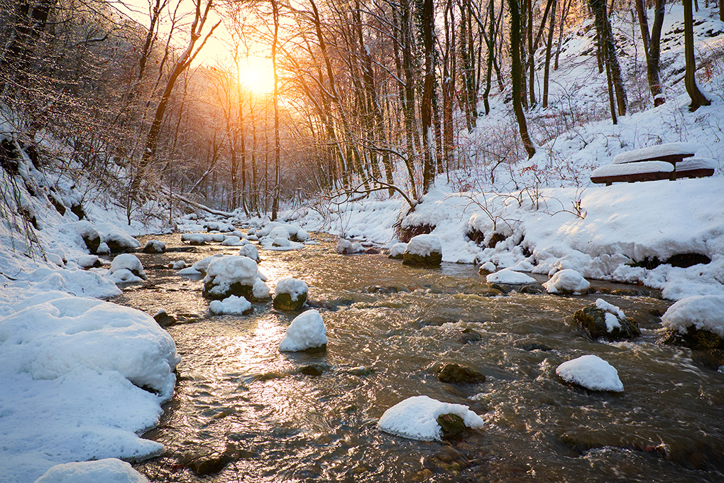 Minnesota’s LSOHC approves $165.2M for next round of outdoors projects