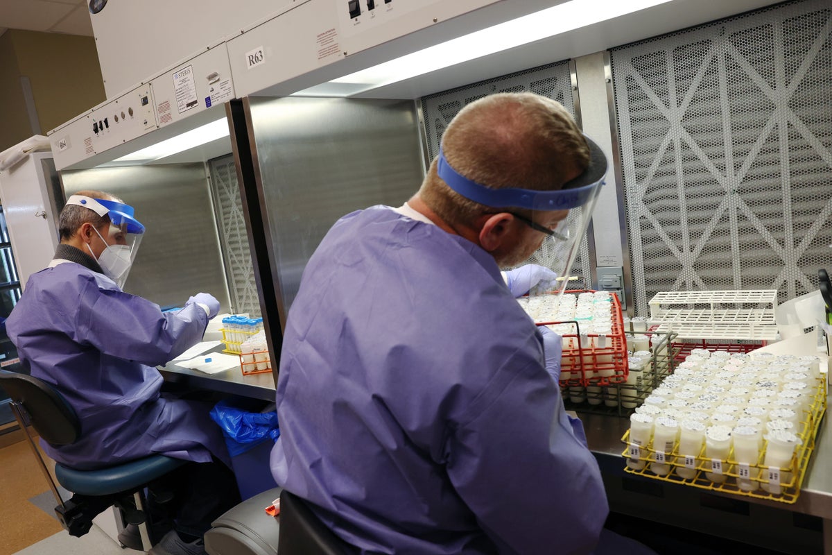 Two viruses emerging from animals could be the next ‘major’ public health threats to American families, scientists warn