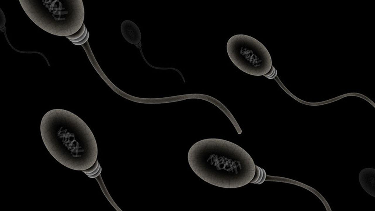 Free IVF With Pavel Durov’s Donor Sperm Continues Despite Terrorism List Designation