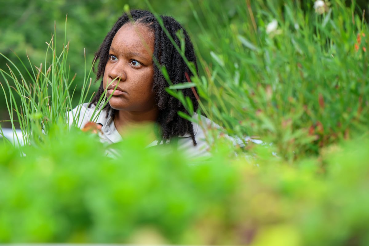 UGA-Griffin’s new Green Stormwater Demonstration Site offers solutions to urban water challenge