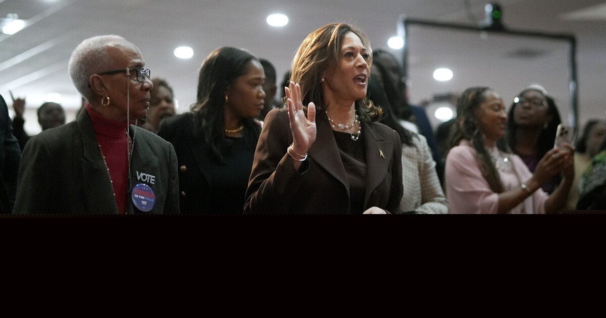 William Darity Jr.: Harris Promises a Wealth Boost for Black Voters Courted by Trump