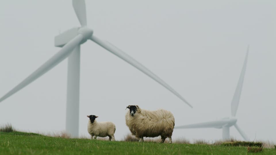 Calls to pause wind farm proposals in mid Wales