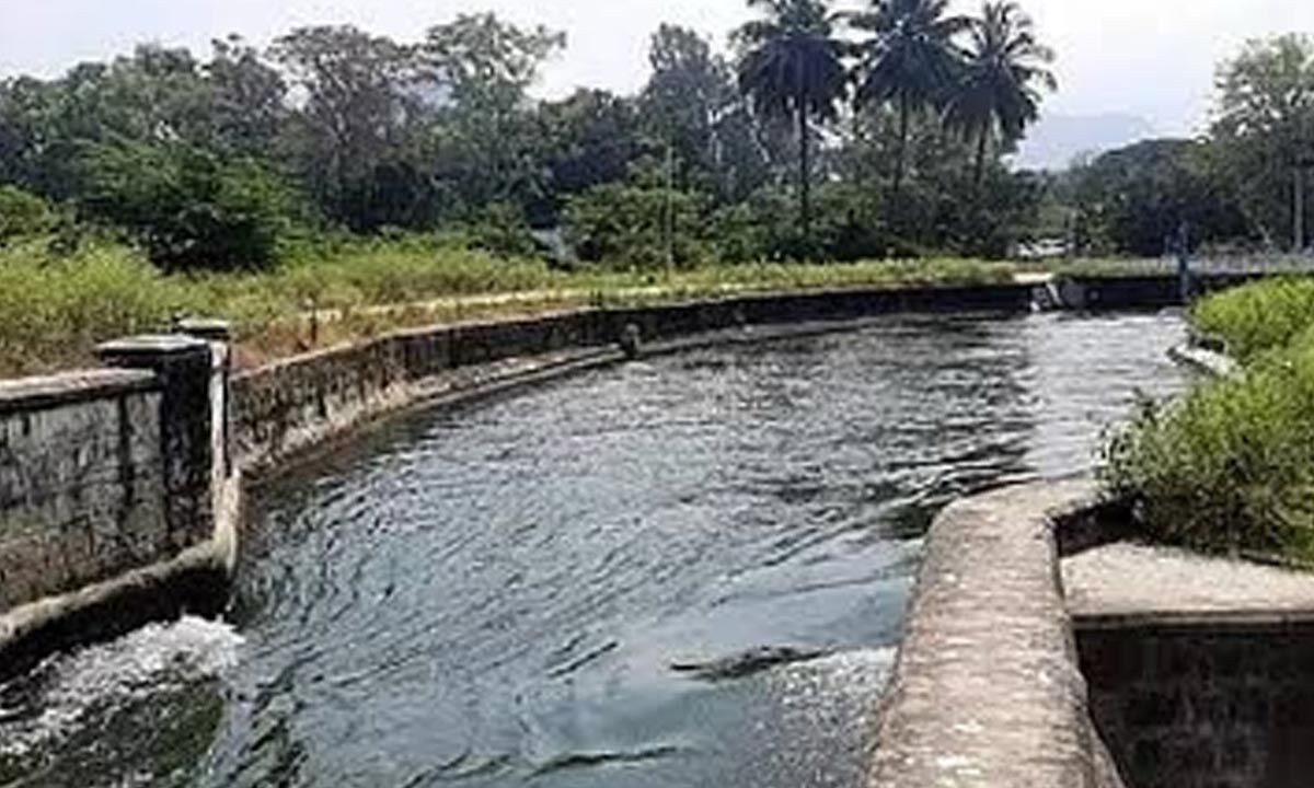 Farmers of Tiruppur await TN govt's order to release Rs 10 crore for dredging PAP canals