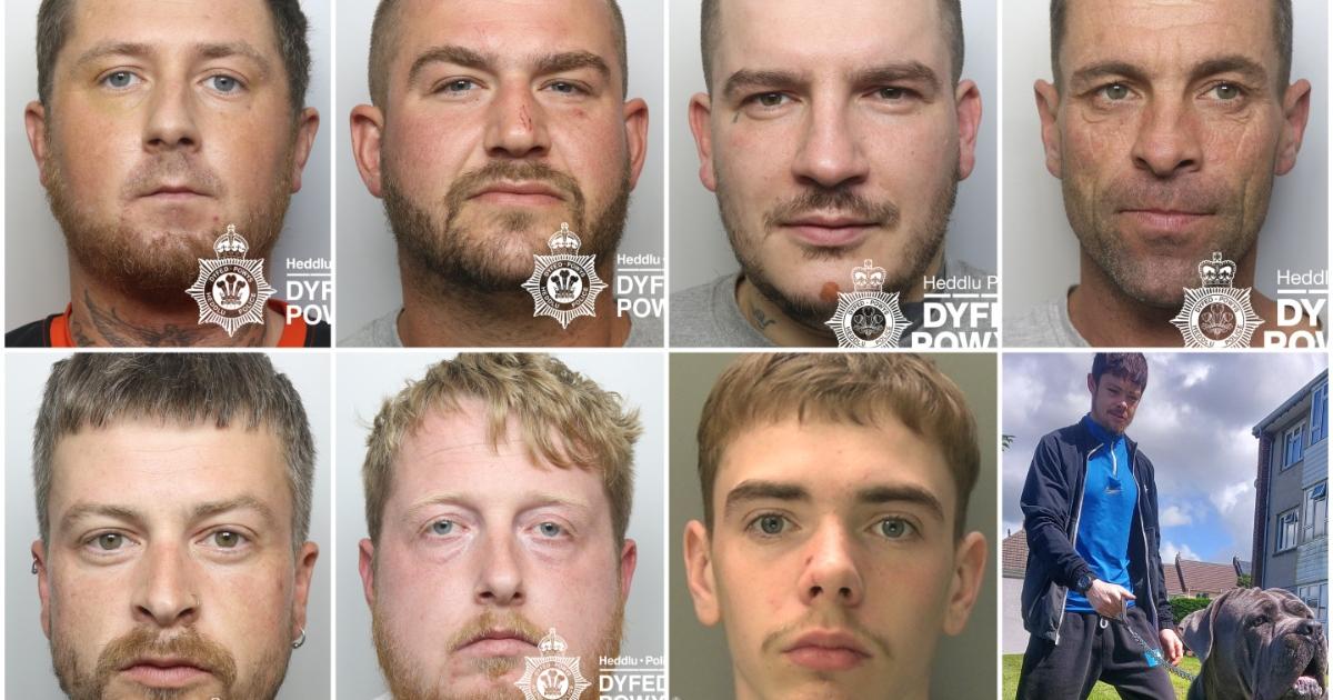 Locked Up: The west Wales criminals who were jailed in September