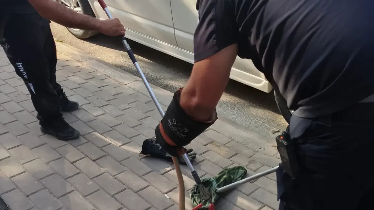 Minibüsün motoruna giren yılanı itfaiyeciler çıkarıldı
