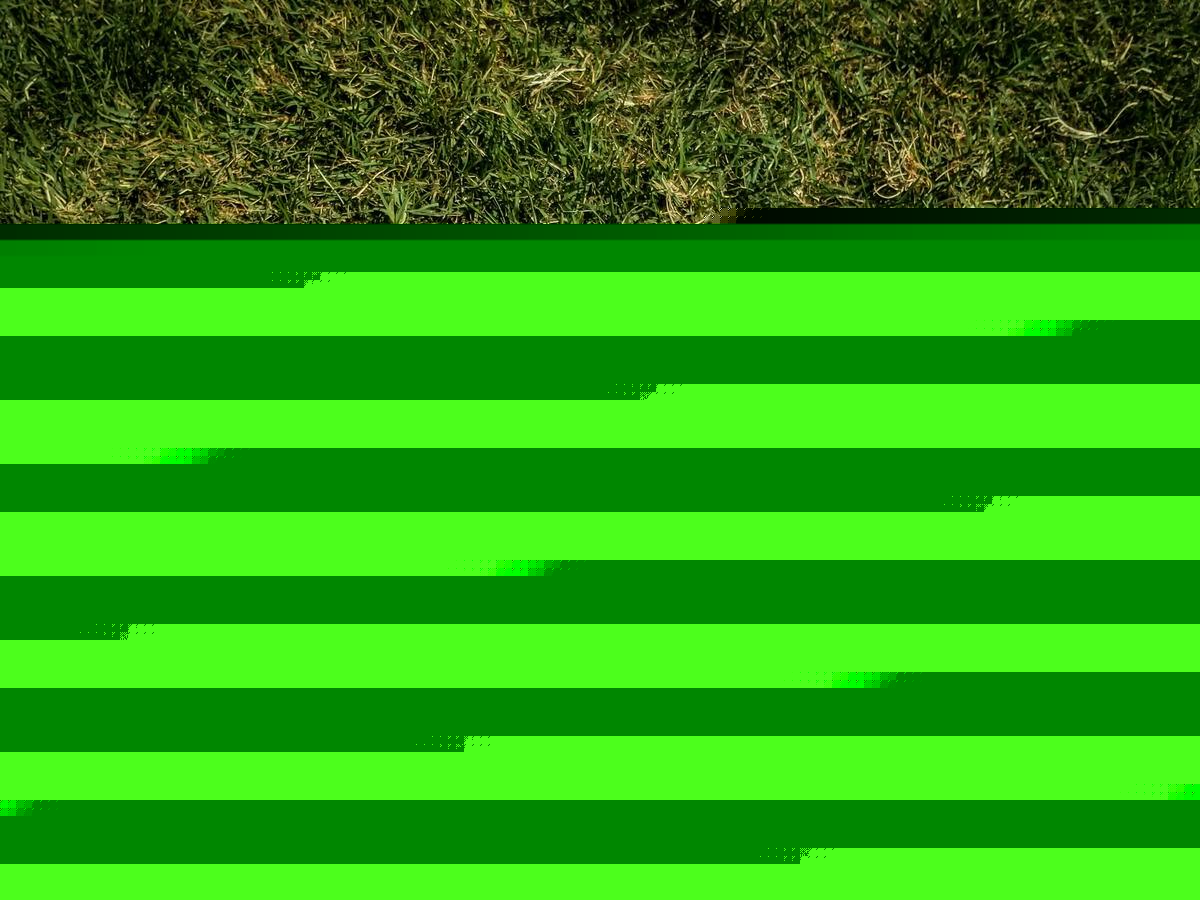Town Ball Weekly – July 20th, 2026