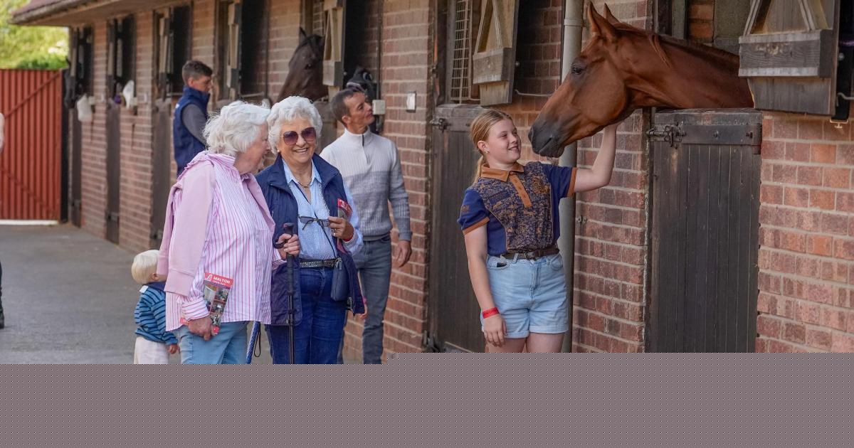 Open day returns with behind-the-scenes glimpse of North Yorkshire racing yards