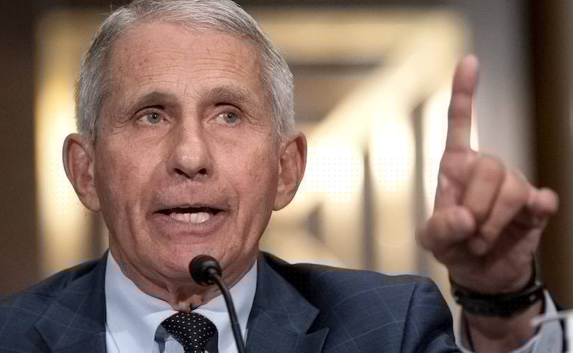 Fauci played a role in study that grafted aborted baby scalps onto rats