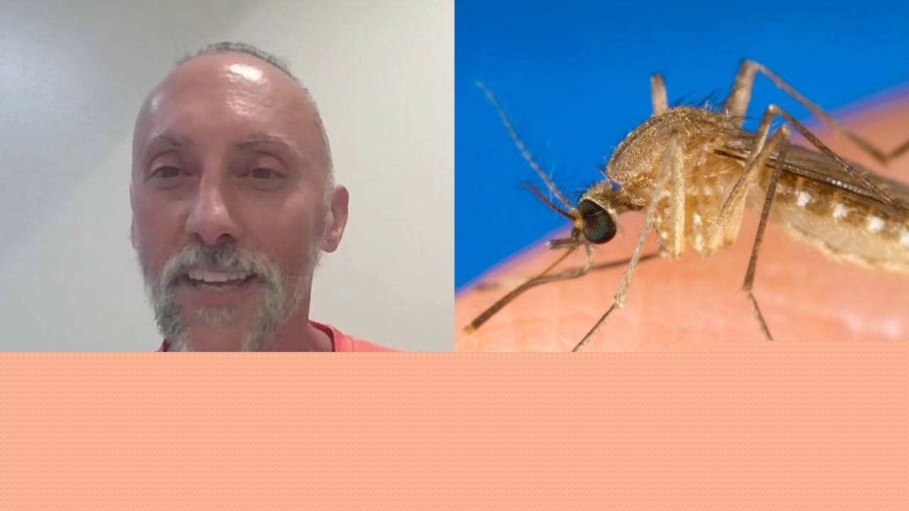 Meet the 'Sewer Monster' fighting mosquitoes, West Nile virus