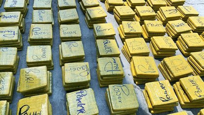 713 Slabs of suspected Indian Hemp intercepted at Asanso