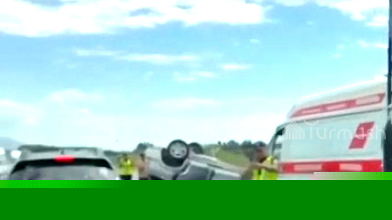 Driver loses control of car after bee gets inside vehicle