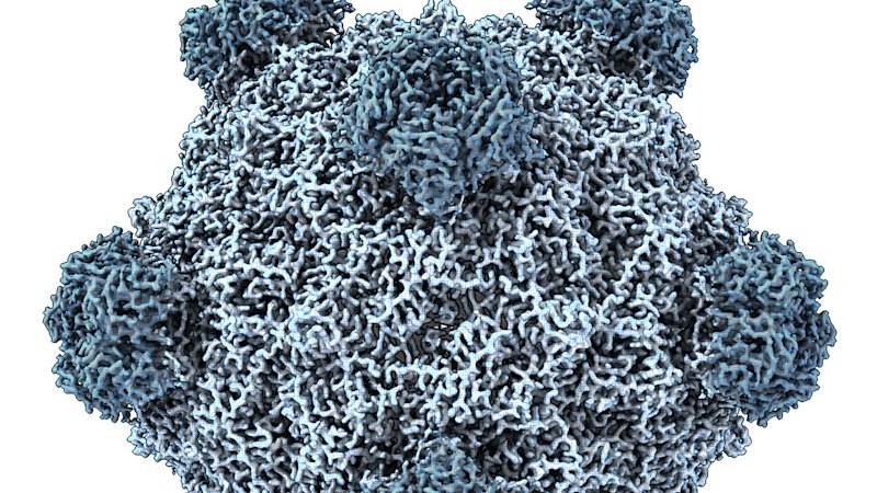AI used to create new viruses in the lab