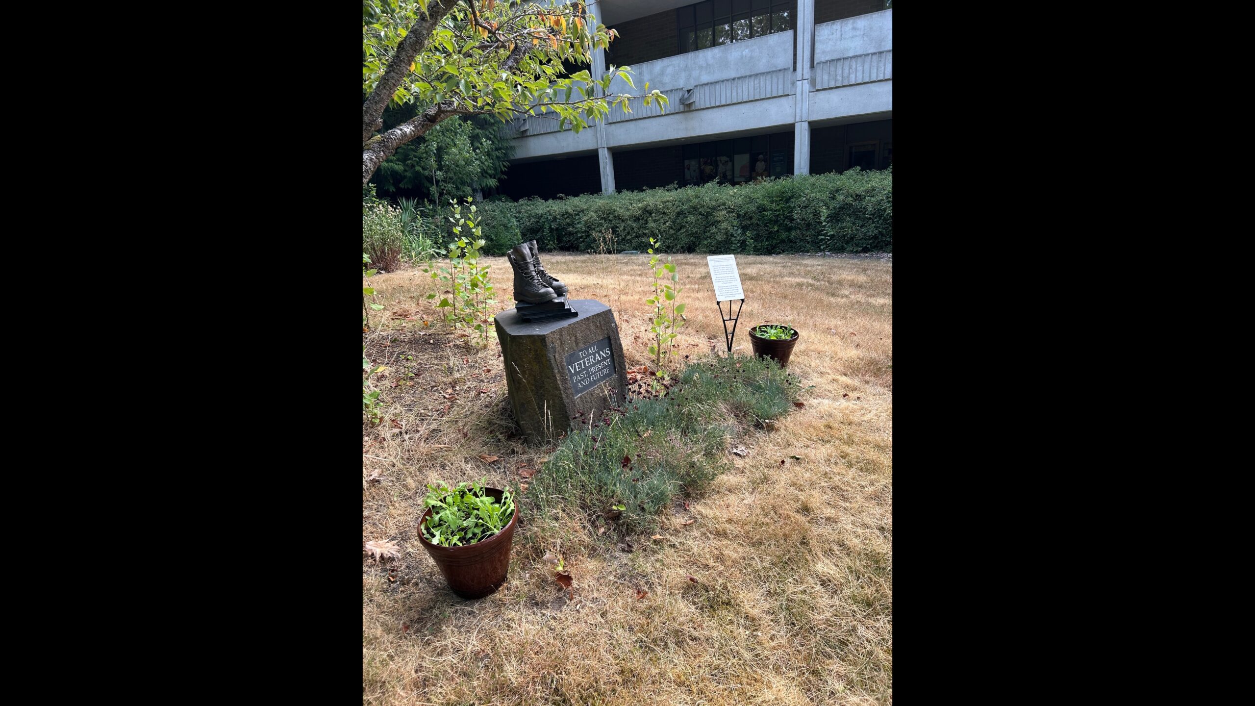 Poppies from Flanders Fields now grow at Edmonds College