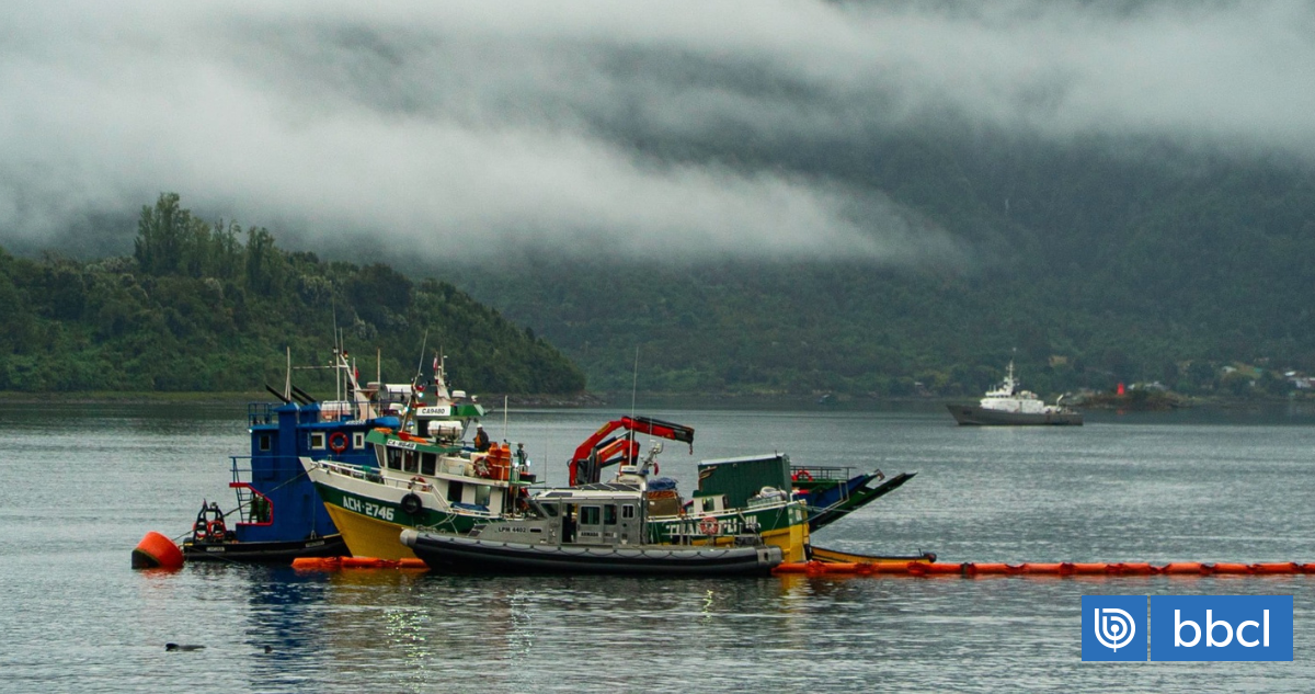 Hallan cuerpo de último extraviado tras hundimiento de catamarán en Los Lagos: tragedia dejó 6 muertos