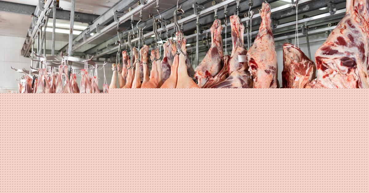 UK meat exporters challenge French border checks