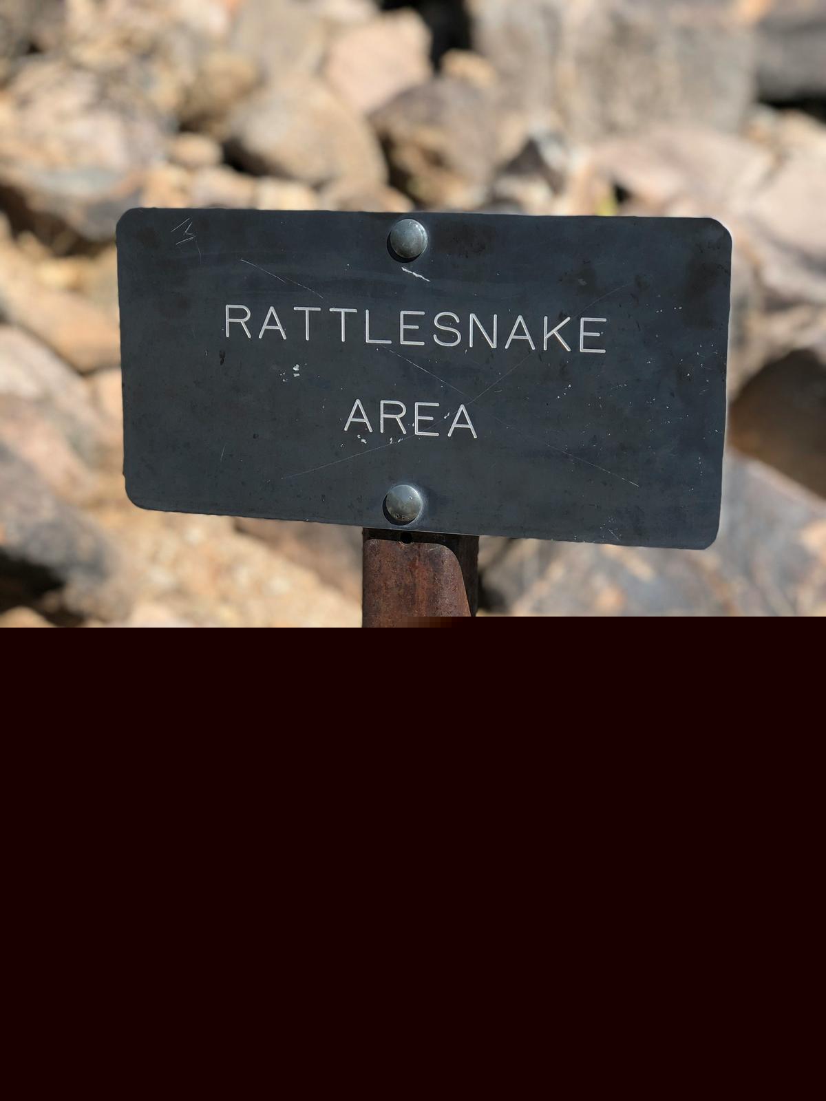Montana Child Bitten By Rattlesnake While Visiting Popular River