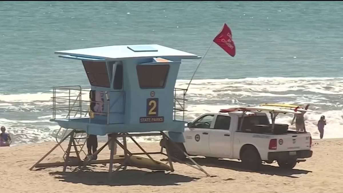 California lifeguard invited to White House after Trump sees viral rescue video