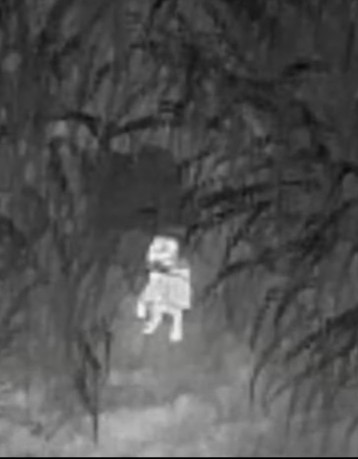 Scared dog lost in cane field rescued by firemen using infrared thermal drone
