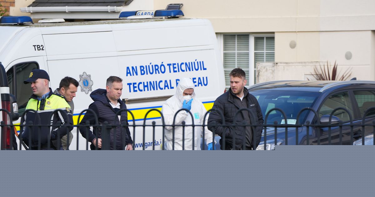 Dublin community in shock after suspected murder-suicide involving man and child (6) - Updates
