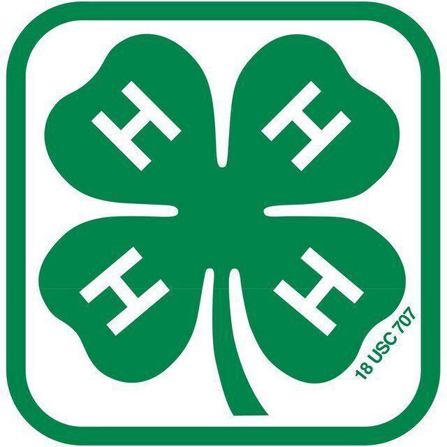 2 Berks 4-H teens attend National 4-H Congress